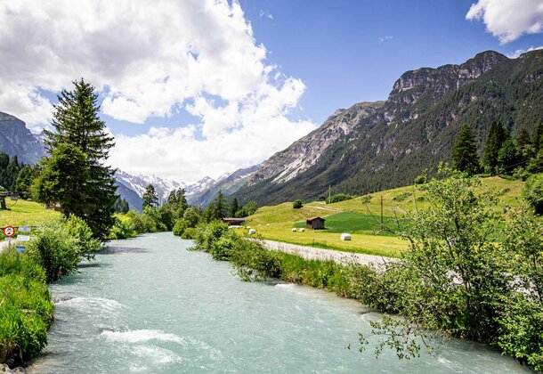 Gebirgsbach im Gschnitztal
