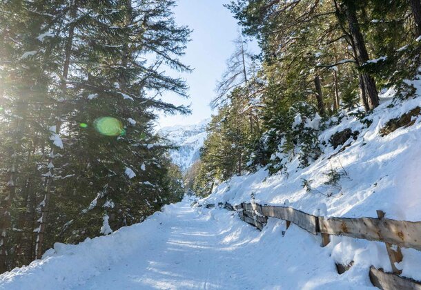 Tief verschneite Winterlandschaft im Gschnitztal